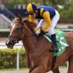 Sister Troienne - Wait a While Stakes - Ryan Thompson/Coglianese Photo