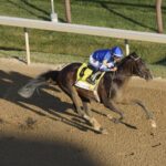 Sovereignty (Beyer 115) - Foto Justin Lane - Daily Racing Form