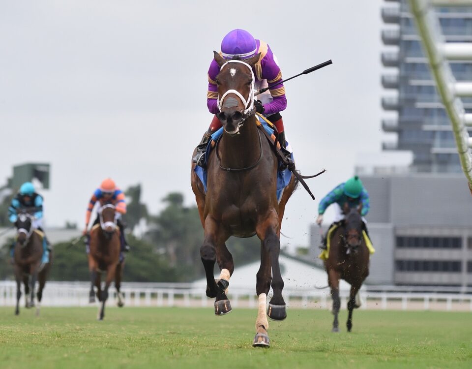 Spirit Doll - Ryan Thompson/Coglianese Photo