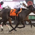 Sultana - Maple Leaf G3 - Michael Burns