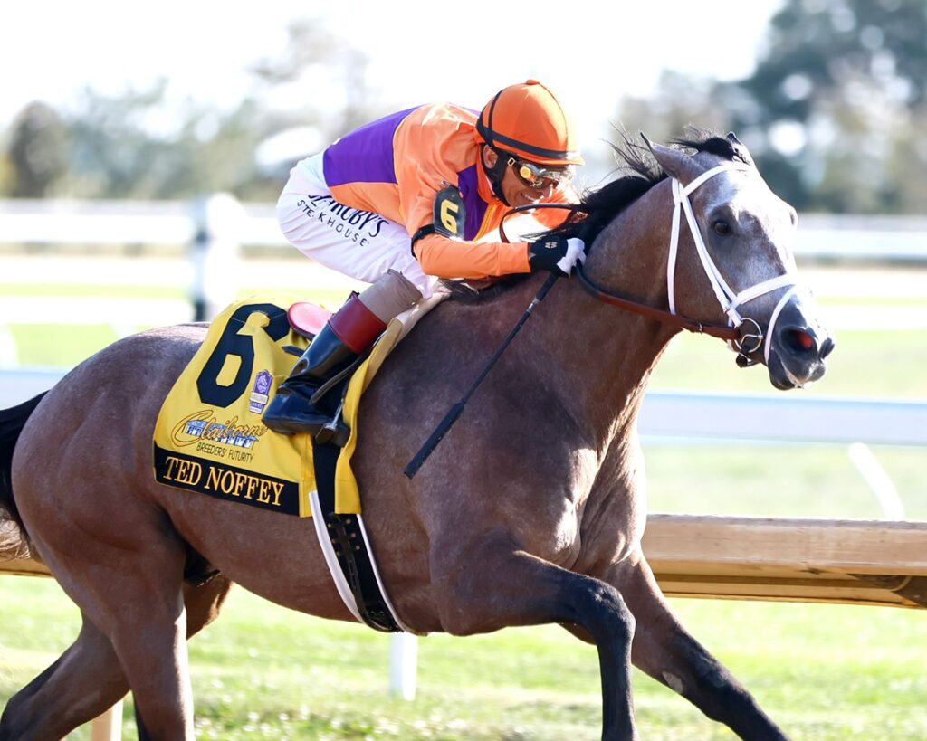 Ted Noffey - Coady Media