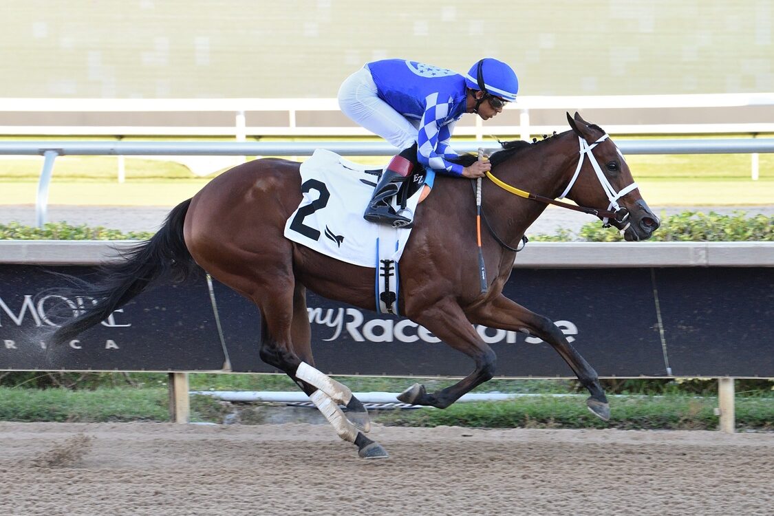 Tessellate - Juvenile Fillies Sprint Stakes - Lauren King/Coglianese Photo