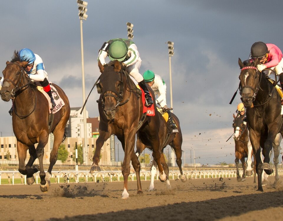 Woodbine action - Michael Burns Photo
