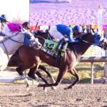 Zero Blitz - City of Laurel Stakes - JIM McCUE / The Maryland Jockey Club