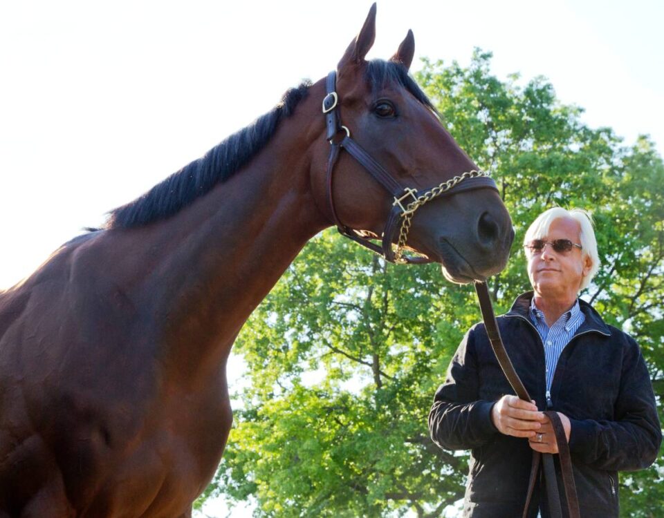 American Pharoah & Bob Baffert - Barbara D. Livingston - Daily Racing Form