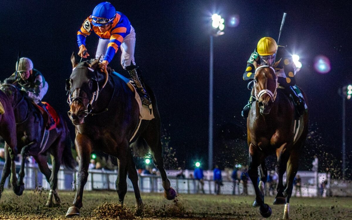 Chip Honcho - Gun Runner Stakes - Hodges Photography/ Amanda Hodges Weir