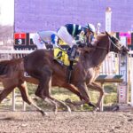 Complexity Jane - Carousel Stakes - Jim McCue - Maryland Jockey Club
