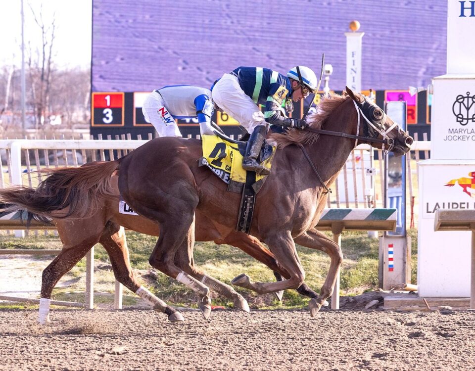 Complexity Jane - Carousel Stakes - Jim McCue - Maryland Jockey Club
