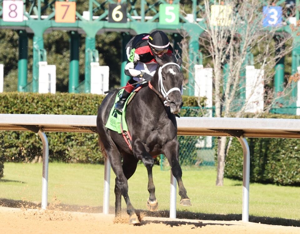 D'Code - photo credito - Coady Media