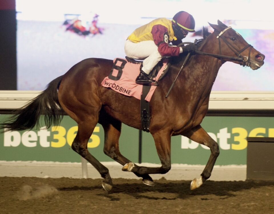 Hurricane Clair - La Prevoyante Stakes - Michael Burns Photo - Woodbine