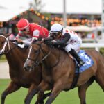 Destino d'Oro - the Tropical Park Oaks - credit Ryan Thompson - Coglianese Photo