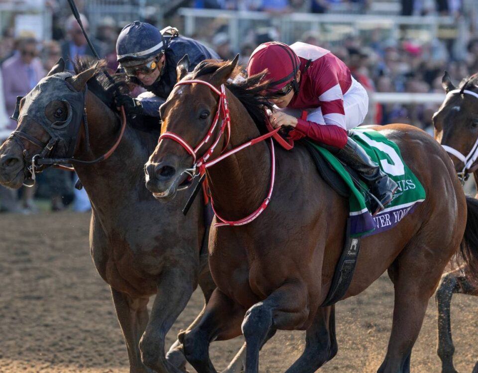 Forever Young - Breeders' Cup Classic - Debra A. Roma - Daily Racing Form