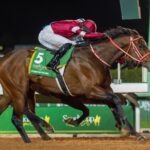 Forever Young - Saudi Cup - Mathea Kelley - Jockey Club of Saudi Arabia