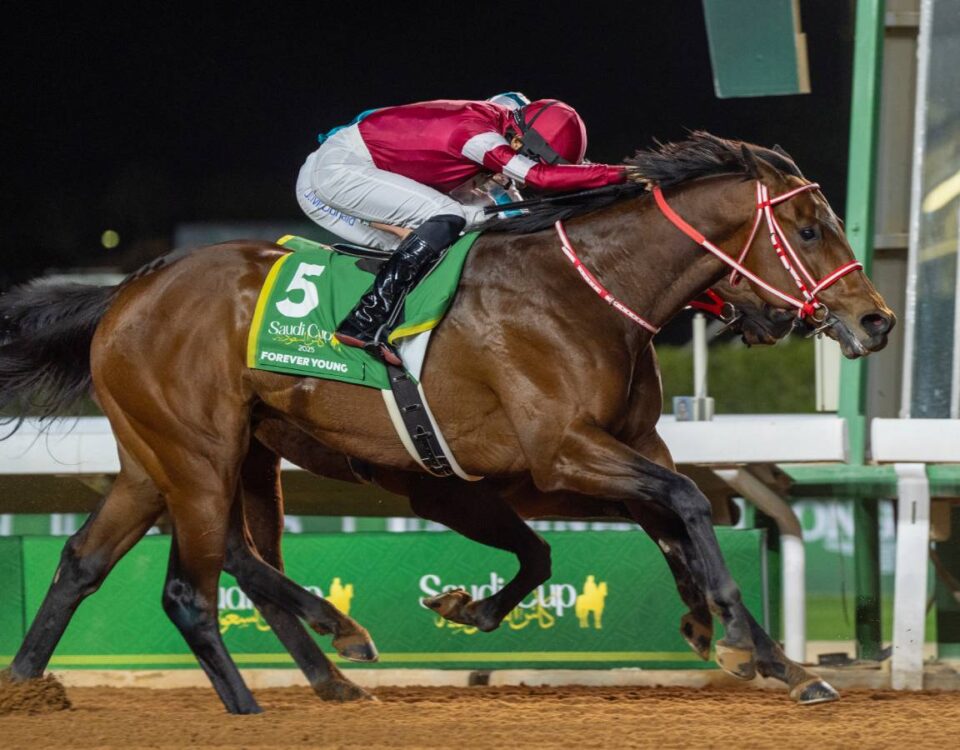 Forever Young - Saudi Cup - Mathea Kelley - Jockey Club of Saudi Arabia