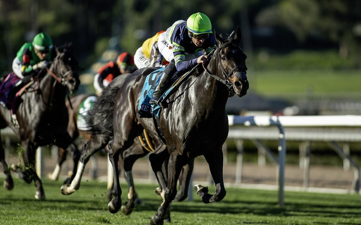 Gas Me Up - Joe Hernandez Stakes G2 - Benoit Photo