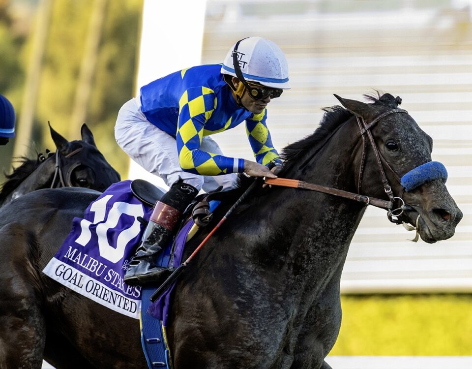Goal Oriented - Grade I $300,000 Malibu Stakes - Santa Anita Park - Benoit Photo