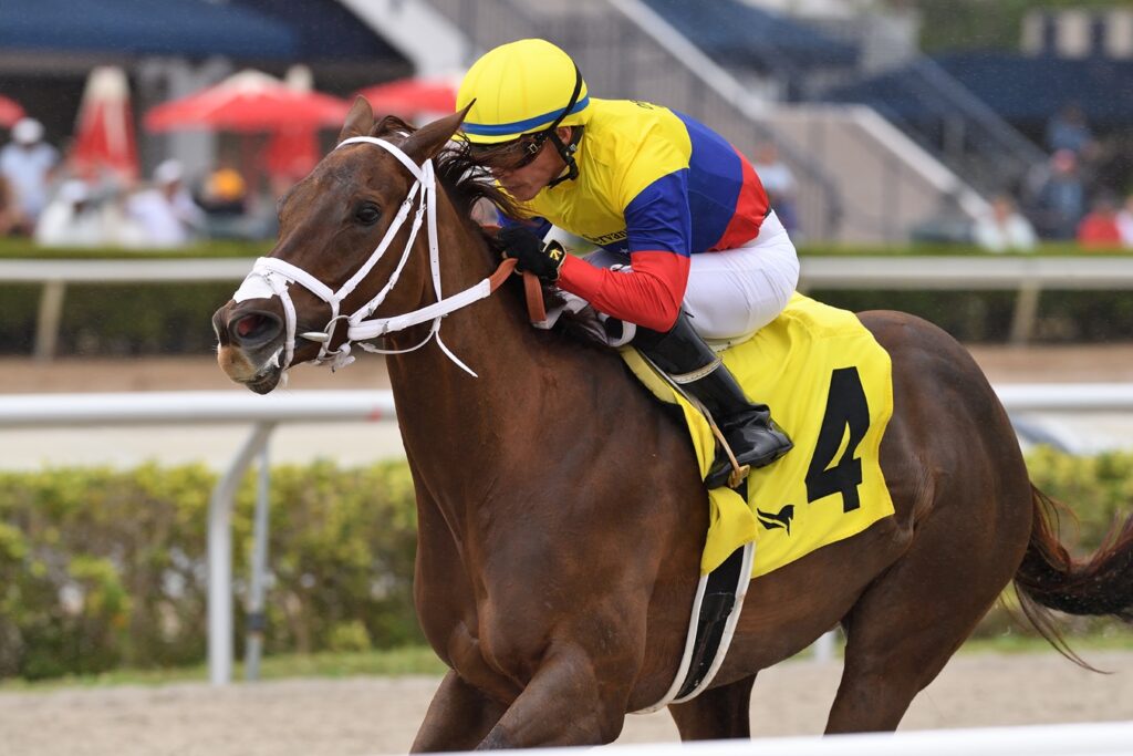 Great Venezuela - Ryan Thompson/Coglianese Photo