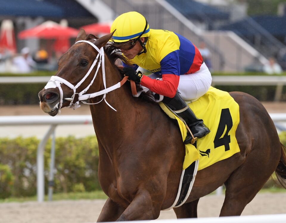 Great Venezuela - Ryan Thompson/Coglianese Photo