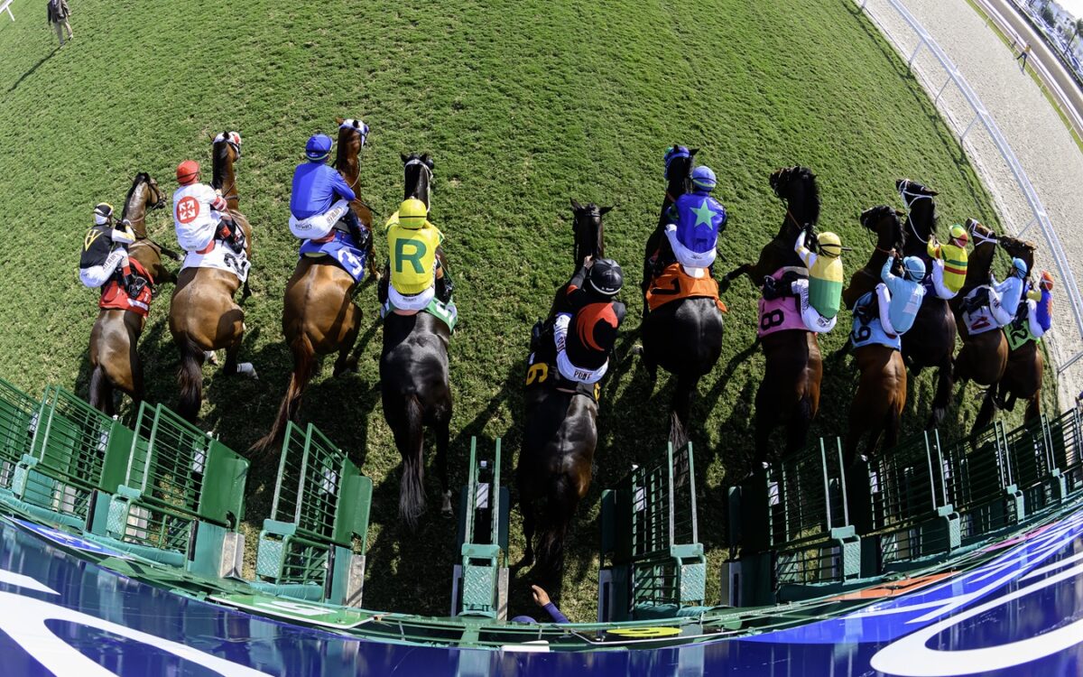 Gulfstream turf gate scenic - Ryan Thompson/Coglianese Photo