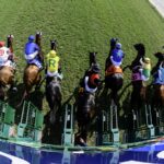 Gulfstream turf gate scenic - Ryan Thompson/Coglianese Photo