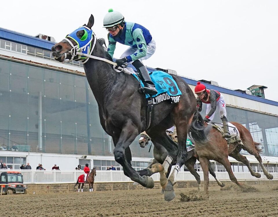 Hollywood Import - Heft Stakes - Jeffrey Snyder f/ TMJC