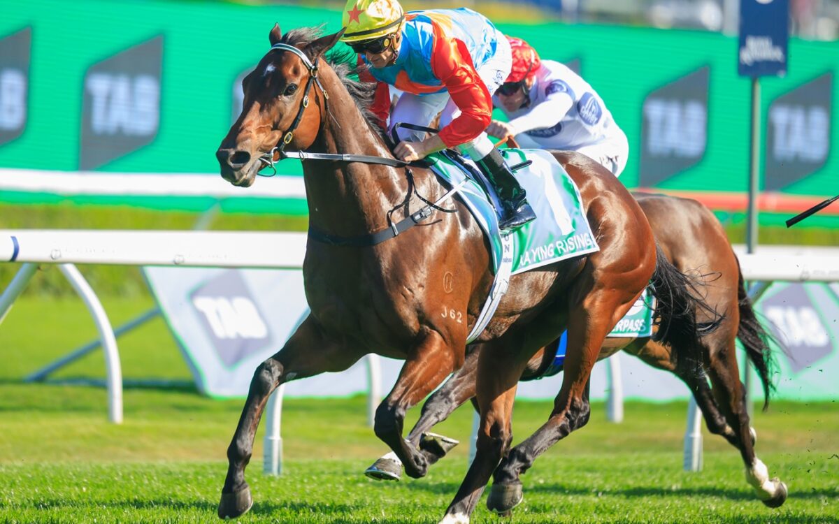 Ka Ying Rising - The TAB Everest G1 - Foto: Grant Courtney