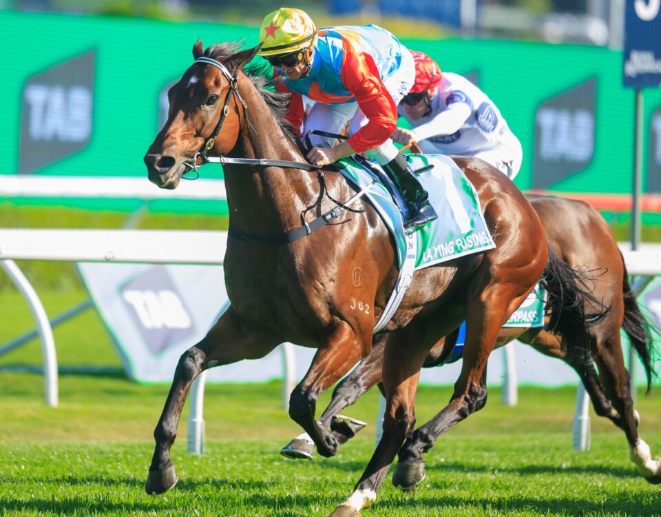Ka Ying Rising - The TAB Everest G1 - Foto: Grant Courtney