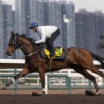Ka Ying Rising - Hong Kong Jockey Club