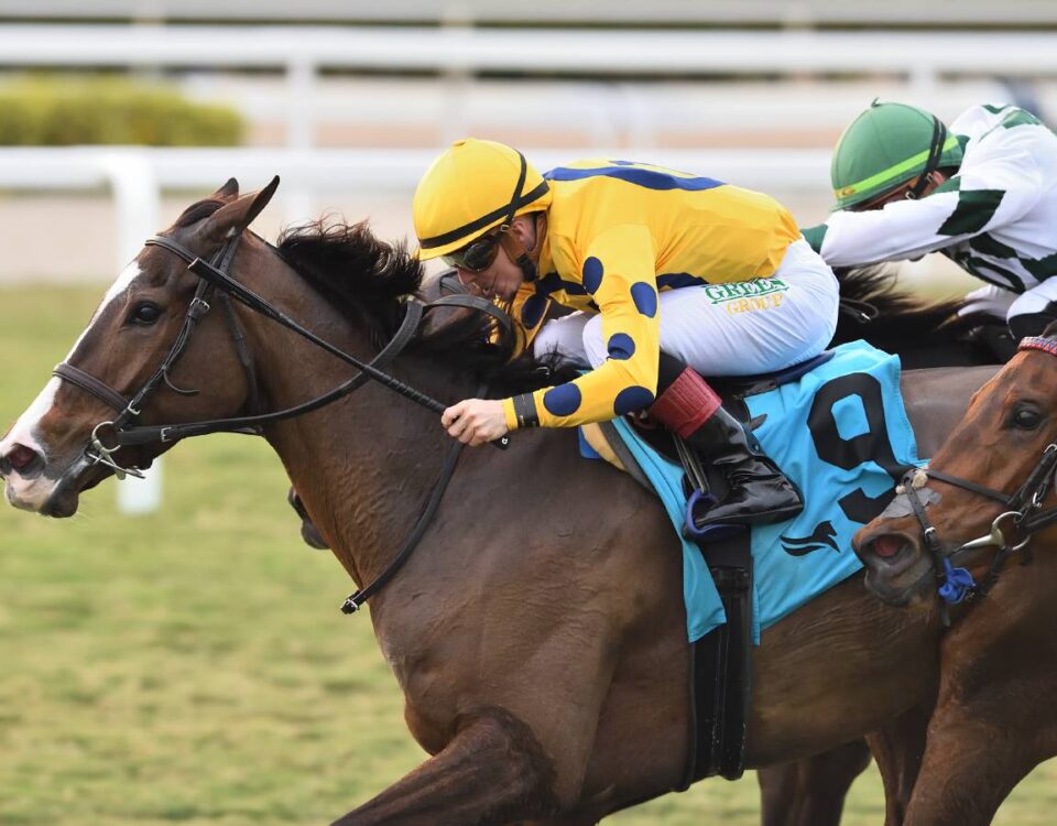 La Mehana - Ryan Thompson/Coglianese Photo