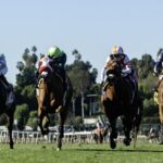 Santa Anita Park, Arcadia CA..© BENOIT PHOTO