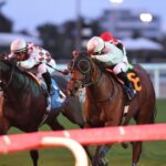 Layabout - the Tropical Park Derby - credit Ryan Thompson - Coglianese Photo