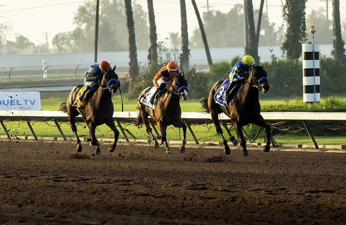 Litmus Test - Los Alamitos Futurity G2 - Benoit Photo