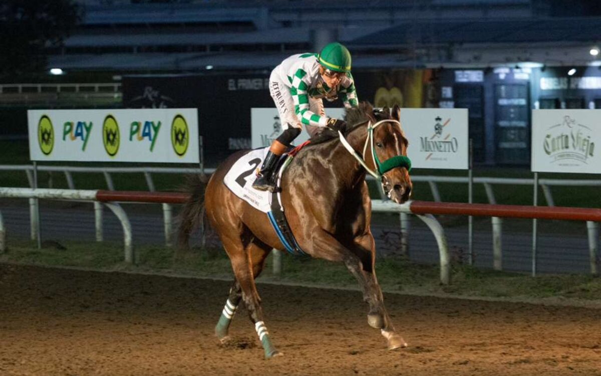 Lodyto Race - Clasico Internacional del Caribe - Hipódromo Presidente Remon - Crédito: Juan Carlos Velázquez