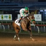 Lodyto Race - Clasico Internacional del Caribe - Hipódromo Presidente Remon - Crédito: Juan Carlos Velázquez