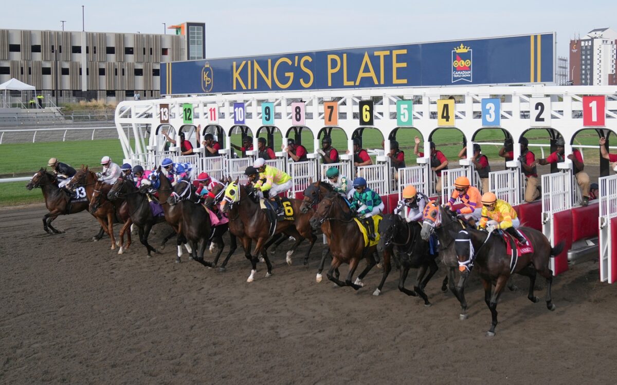 King's Plate Start 2025 - Michael Burns Photo