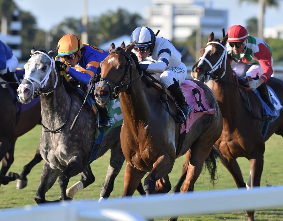 Moon Spun - Abundantia Stakes - Ryan Thompson/Coglianese Photo