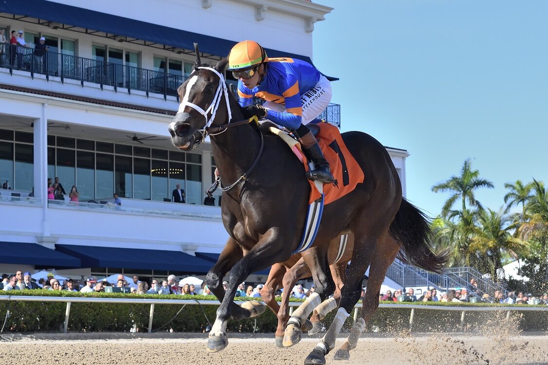 Mystic Lake - Adam Coglianese - Coglianese Photo