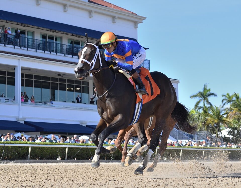 Mystic Lake - Adam Coglianese - Coglianese Photo