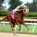 Peach Tie - Coady Media