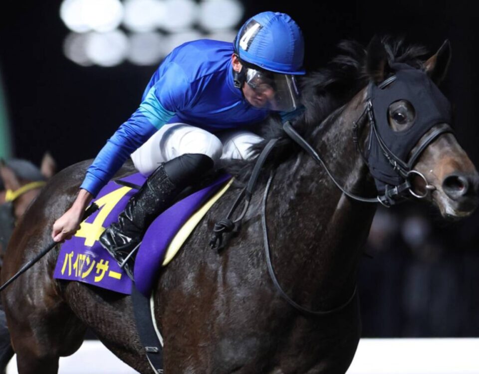 Pyromancer - Zen Nippon Nisai Yushun Stakes - Credit: Kentucky Derby PR and Communications