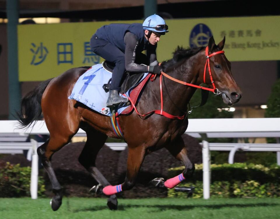 Romantic Warrior workout - Hong Kong Jockey Club