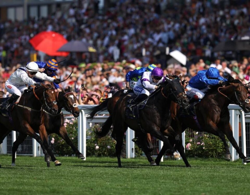 Royal Ascot scenic - Megan Coggin/Ascot Media