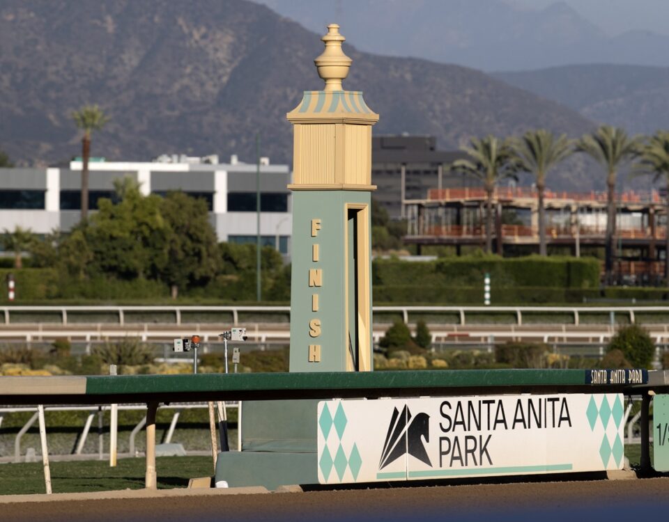 Santa Anita Park Finish - Barbara D. Livingston - Daily Racing Form