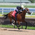 Secane - Ryan Thompson/Coglianese Photo