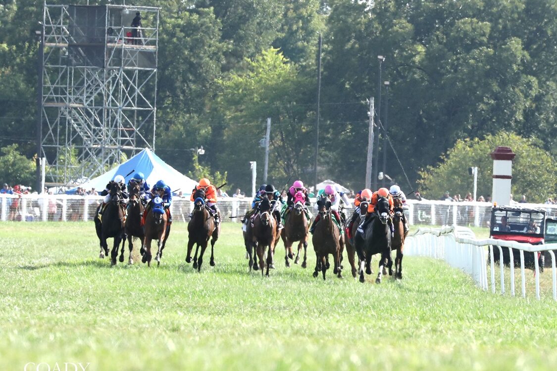 Kentucky Downs scenic - Coady Media