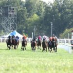 Kentucky Downs scenic - Coady Media