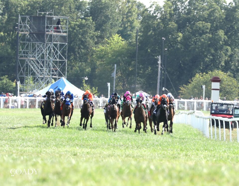 Kentucky Downs scenic - Coady Media