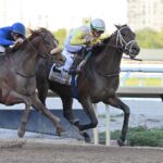 Skippylongstocking - Harlan's Holiday Stakes G3 - Lauren King/Coglianese Photo