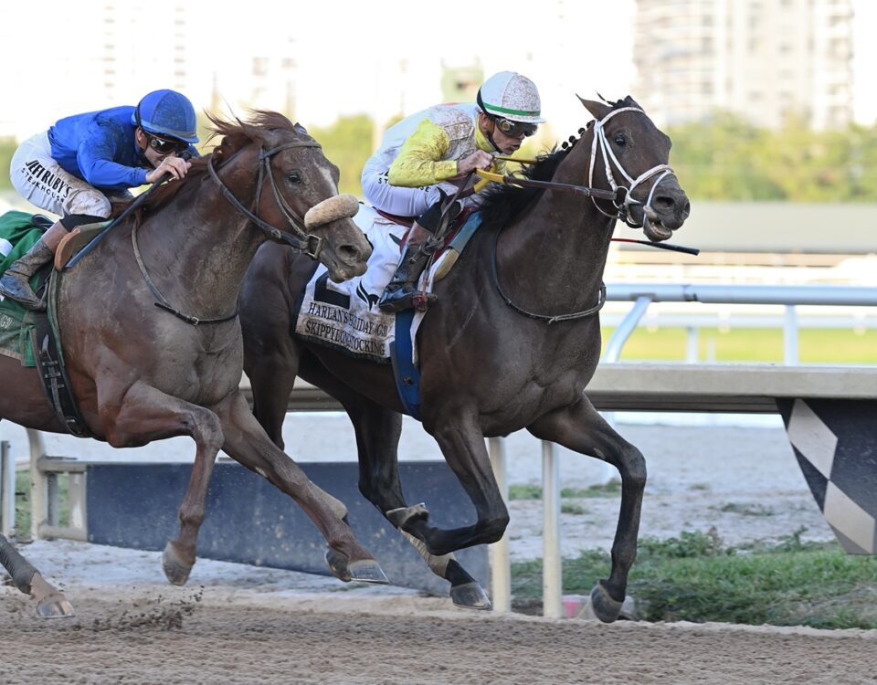 Skippylongstocking - Harlan's Holiday Stakes G3 - Lauren King/Coglianese Photo