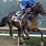 Sovereignty - Barbara D. Livingston - Daily Racing Form